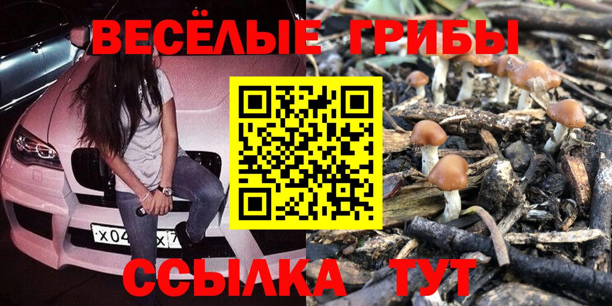 Югорск  Галлюциногенные грибы GOLDEN TEACHER  Вход с VPN 
